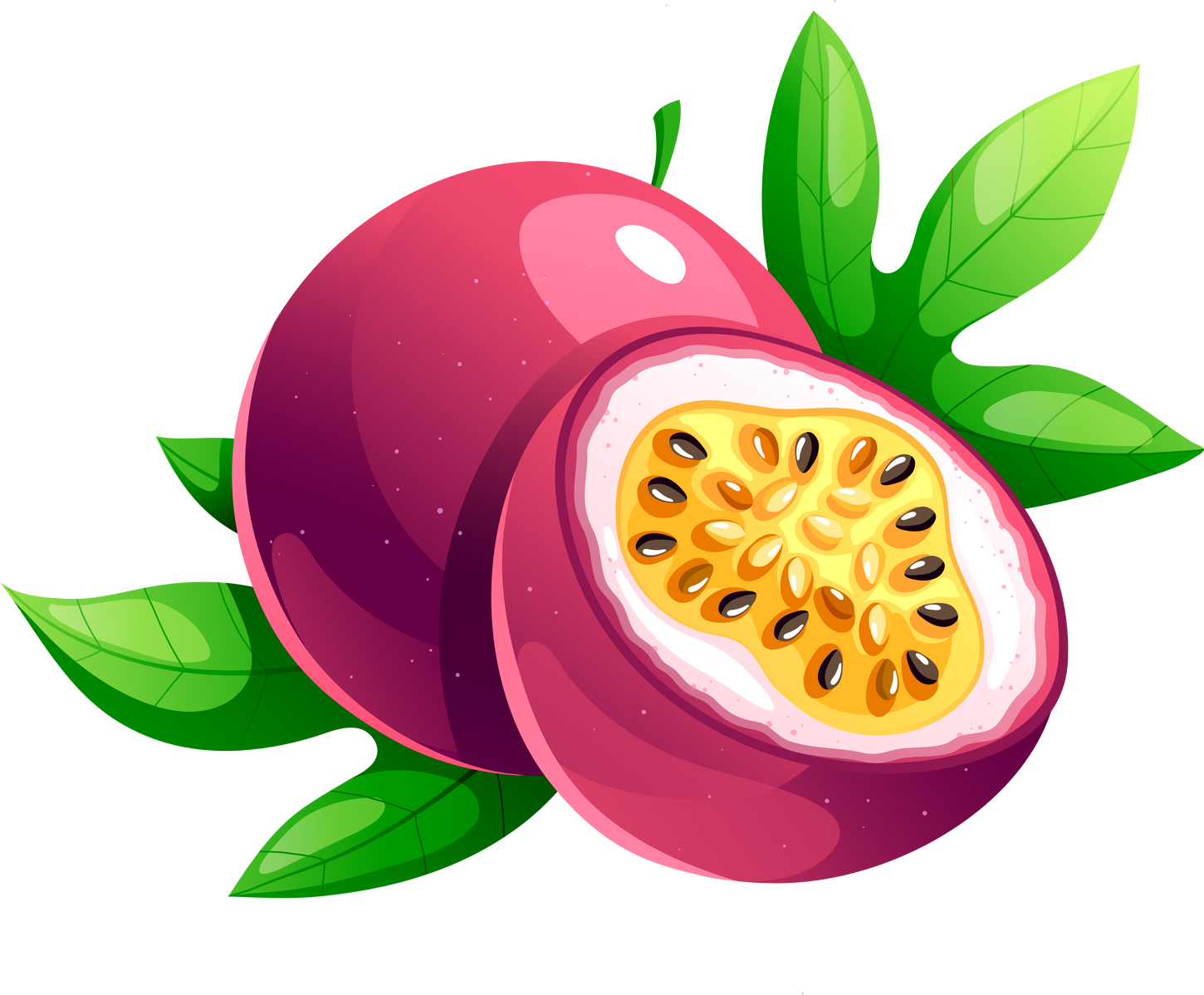 Purple Juicy Bright Passion Fruit Illustration