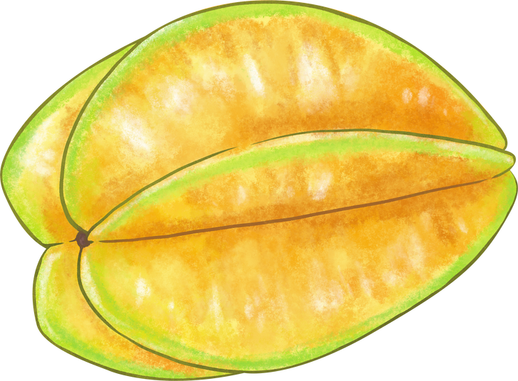 star fruit illustration